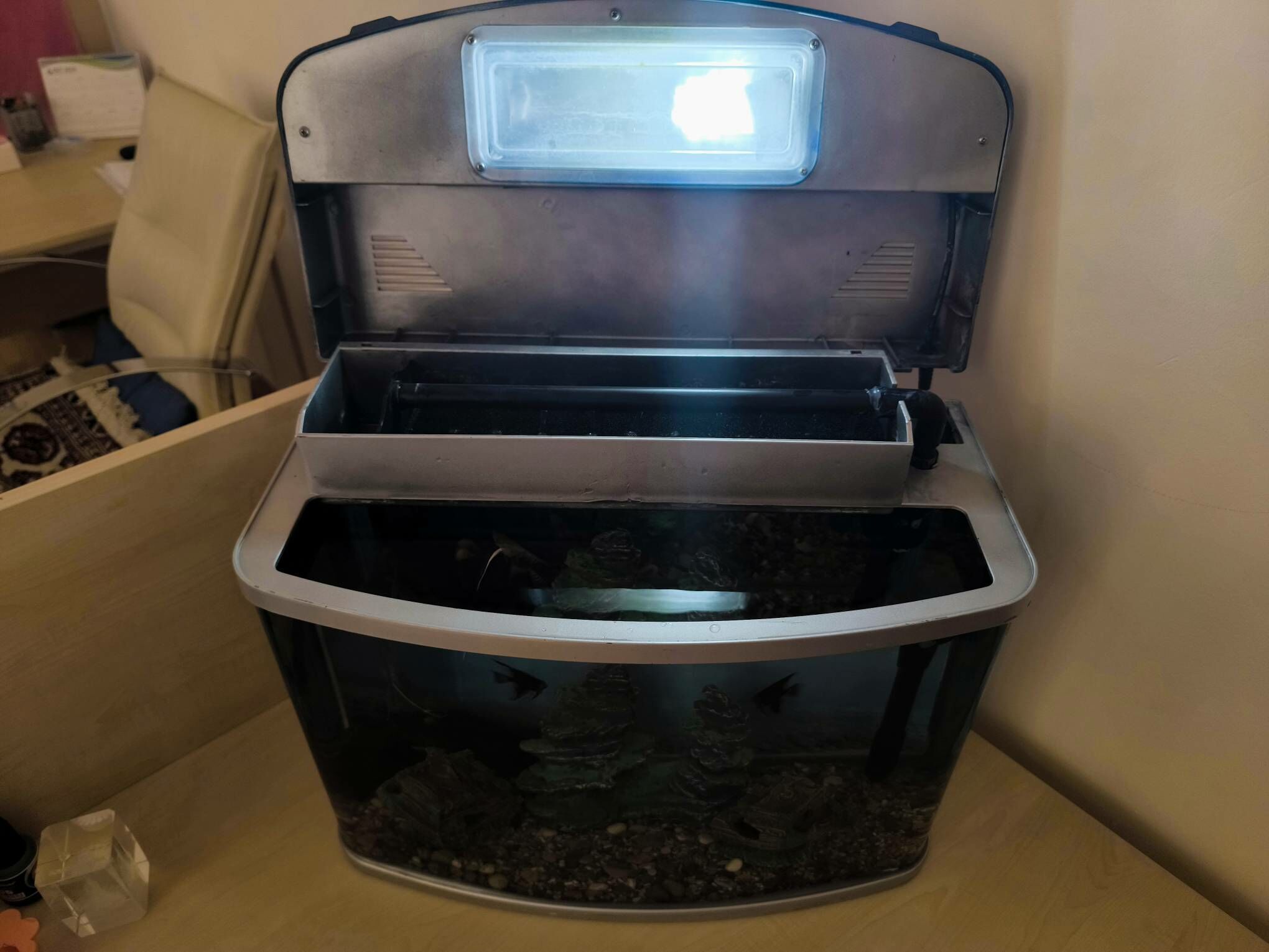 Akwarium Аквариум - Ашхабад - img 4