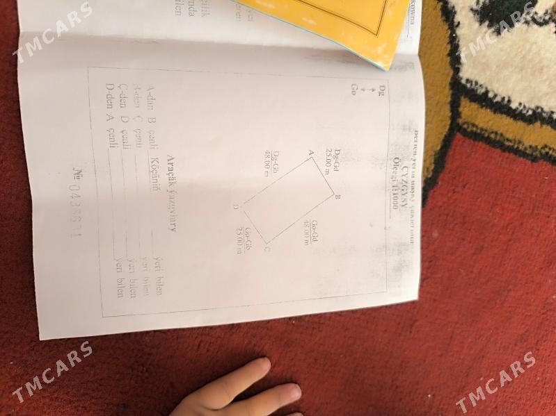 mellek yer - Daşoguz - img 1