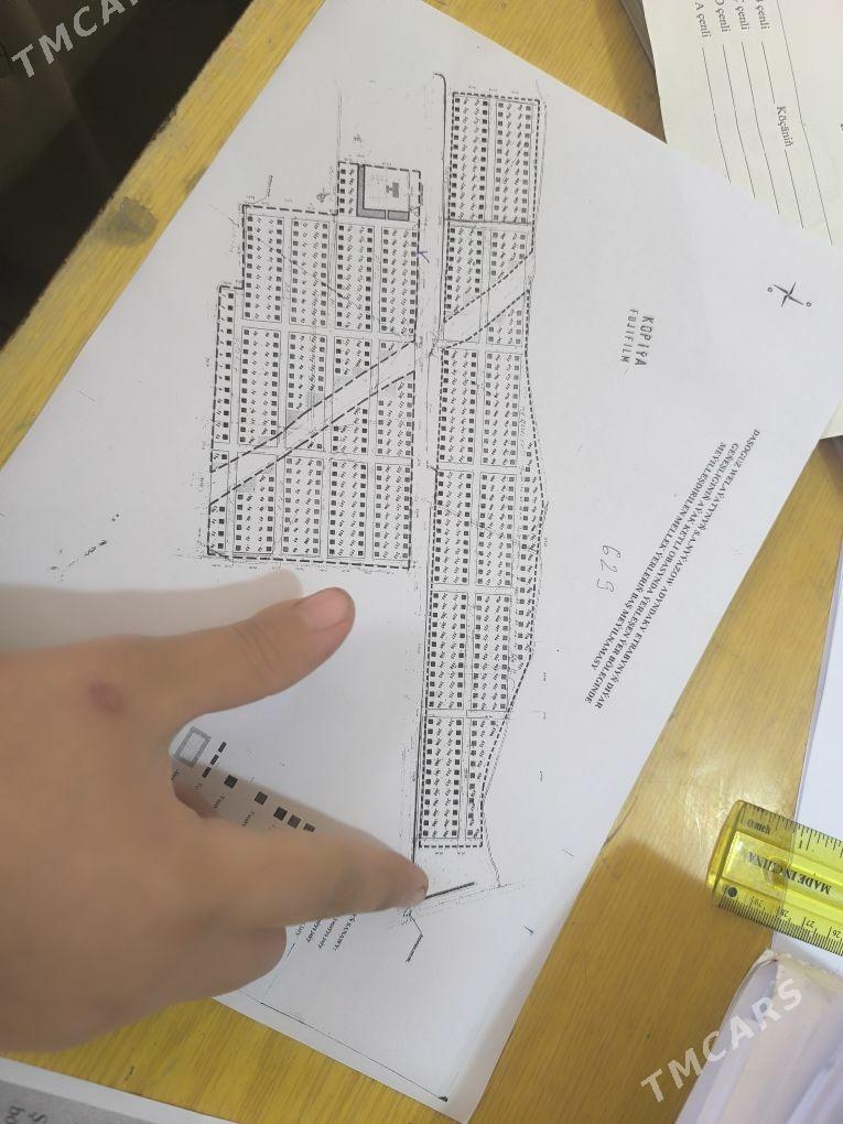 mellek yer - Daşoguz - img 3