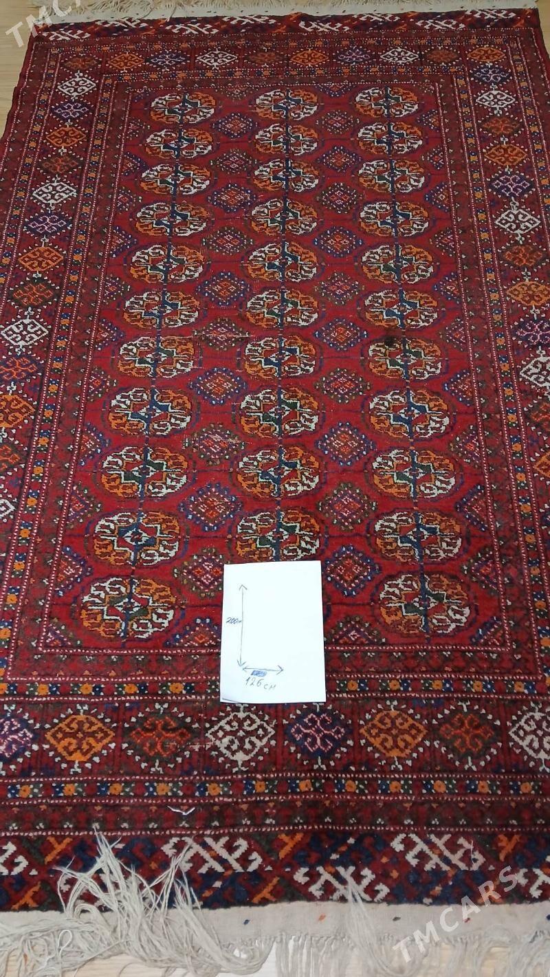 el halysy - Ашхабад - img 1