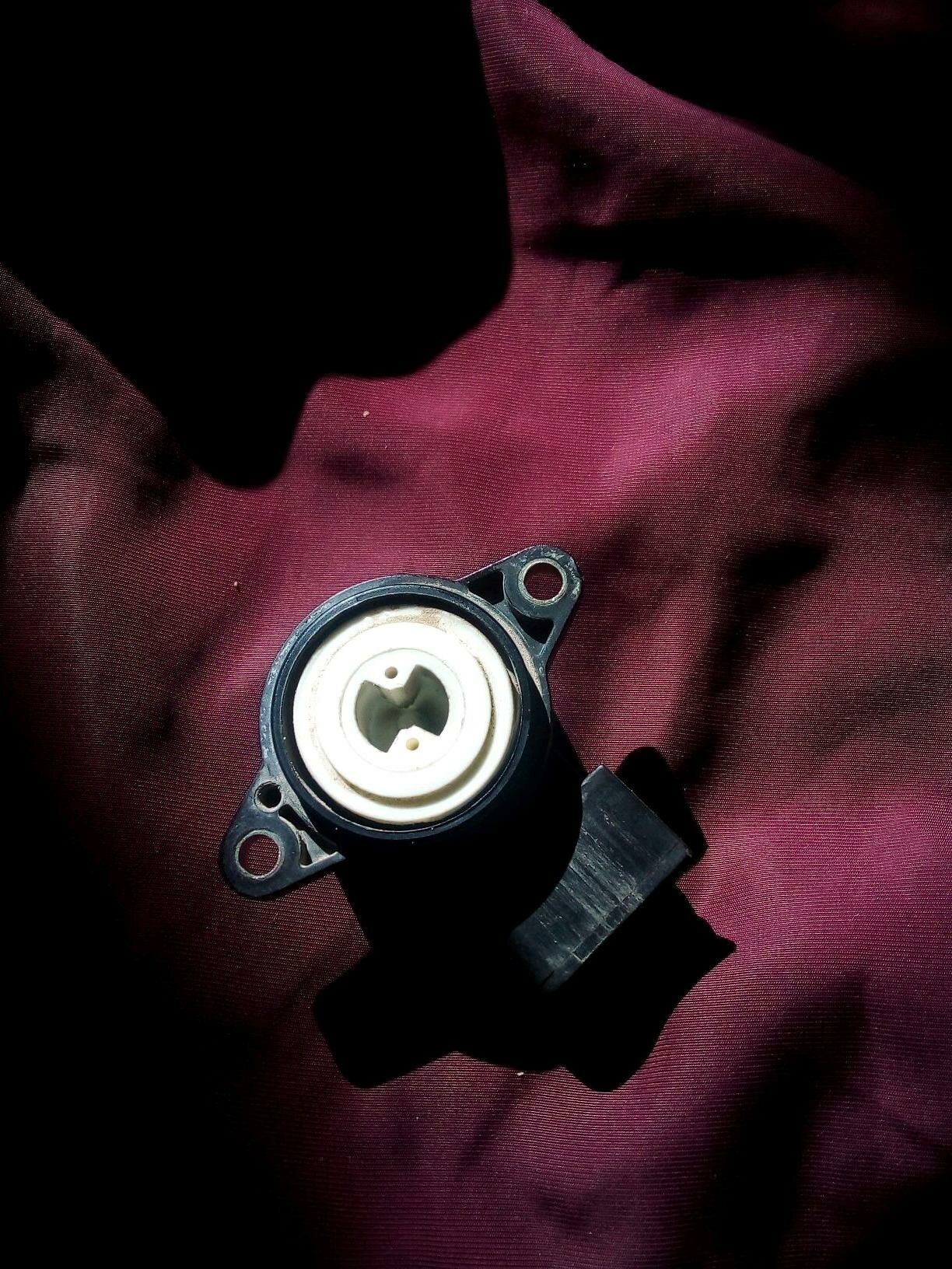 balykgulak 150 TMT - Mary - img 2