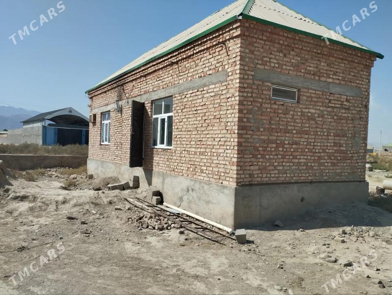 satlyk jay - Bäherden - img 1