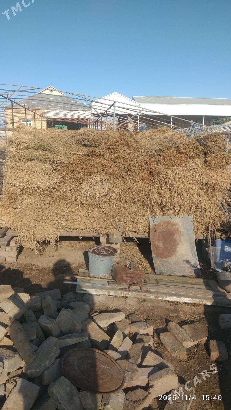 Mala hasal ot satlyk - Векильбазар - img 4