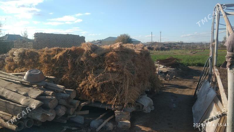 Mala hasal ot satlyk - Векильбазар - img 5