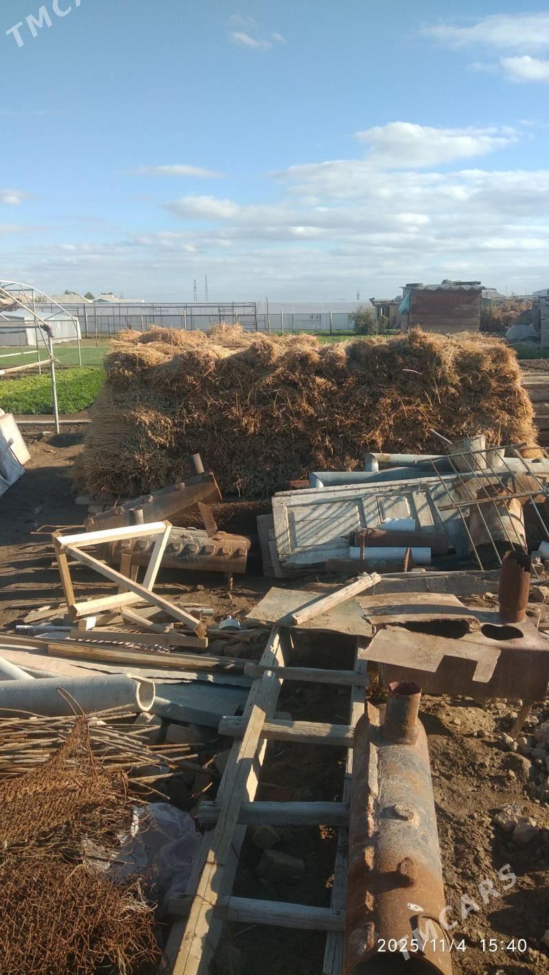 Mala hasal ot satlyk - Векильбазар - img 3