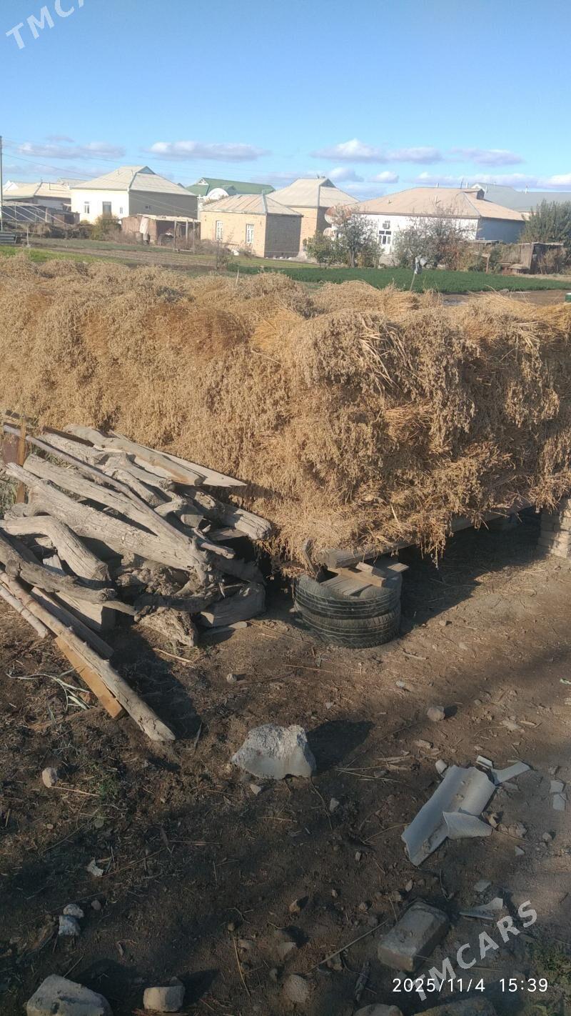 Mala hasal ot satlyk - Векильбазар - img 2