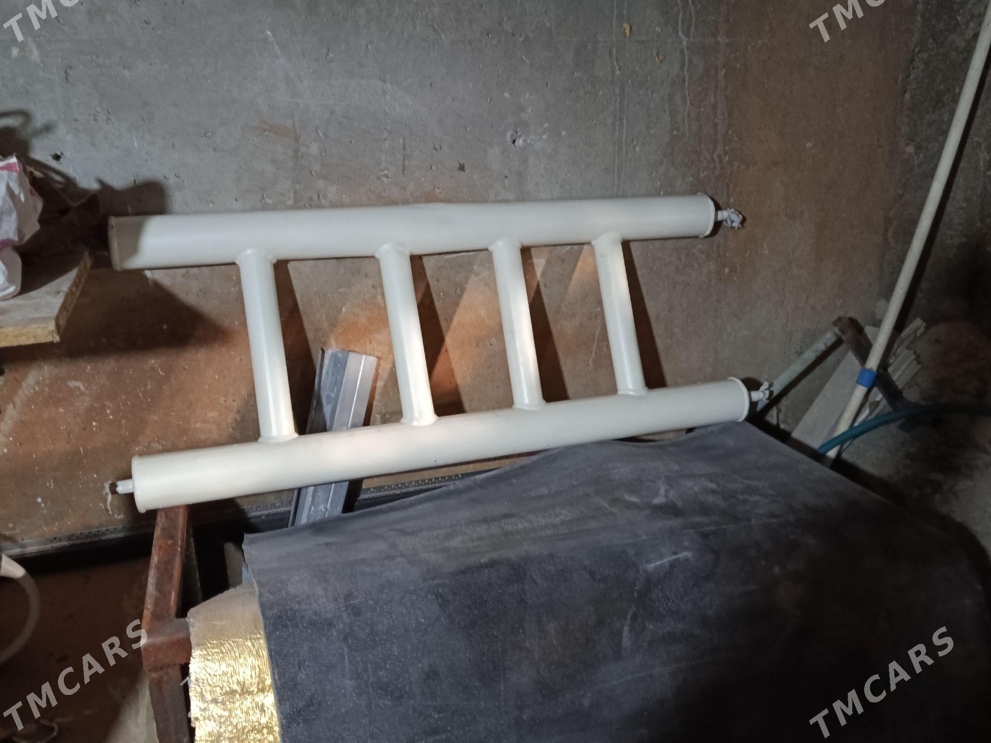 ateplenya - Büzmeýin - img 2