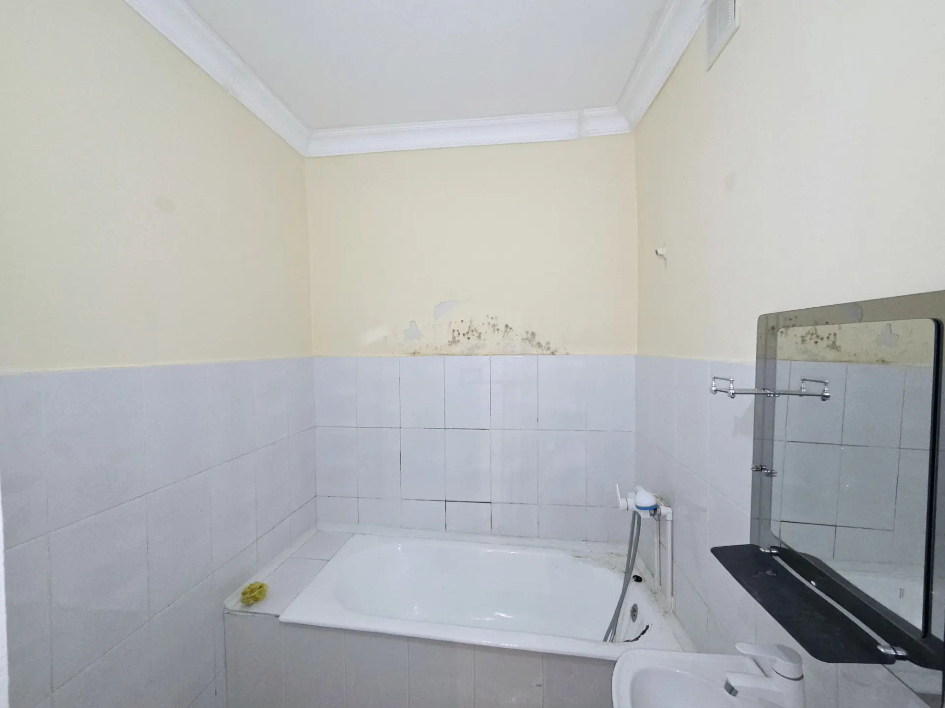 Buzmeyin Gres - Büzmeýin GRES - img 3