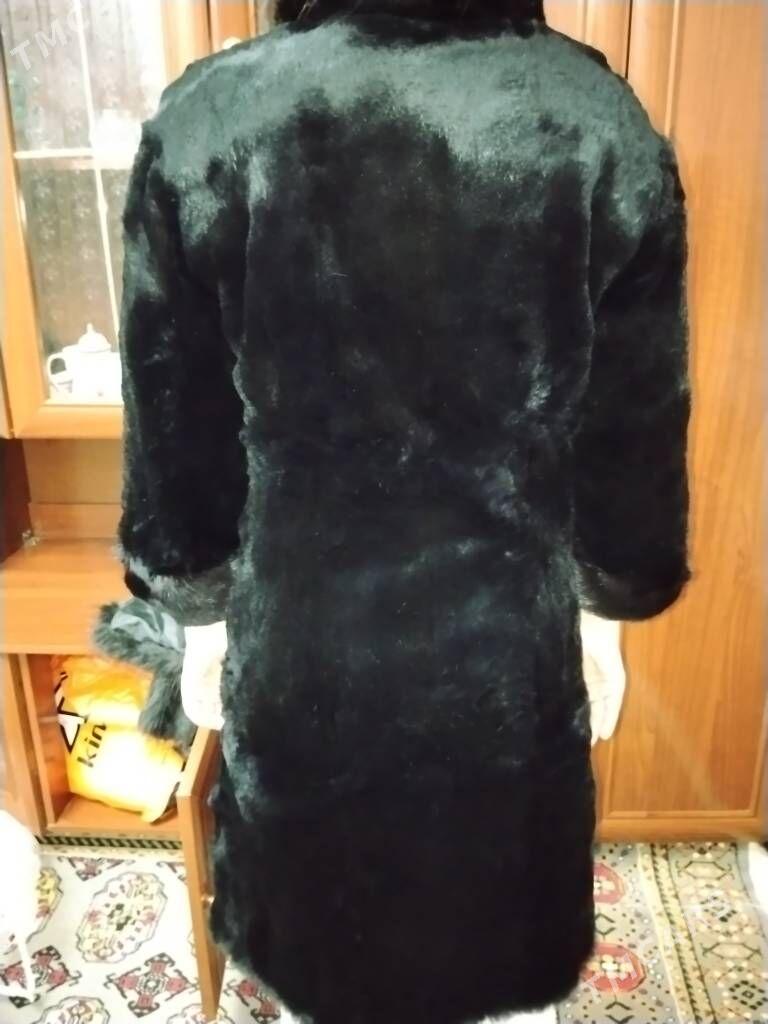 Шиншилла шубкк - Туркменабат - img 1