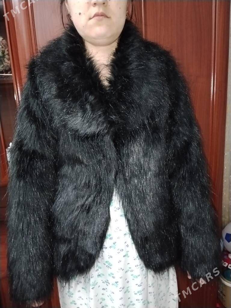Шиншилла шубкк - Туркменабат - img 5