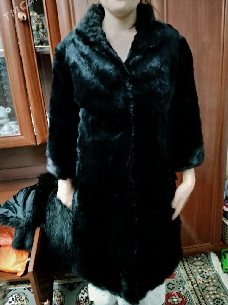 Шиншилла шубкк - Туркменабат - img 2