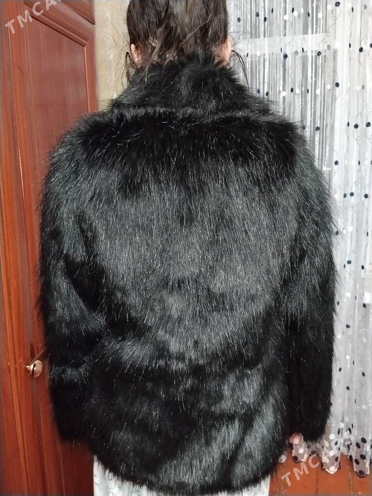 Шиншилла шубкк - Туркменабат - img 6