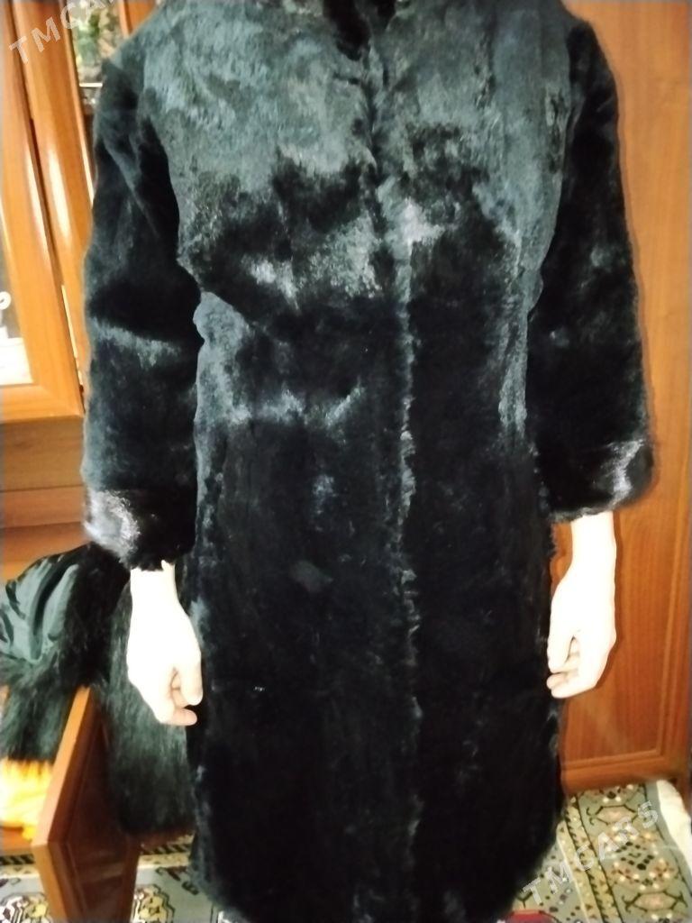 Шиншилла шубкк - Туркменабат - img 4