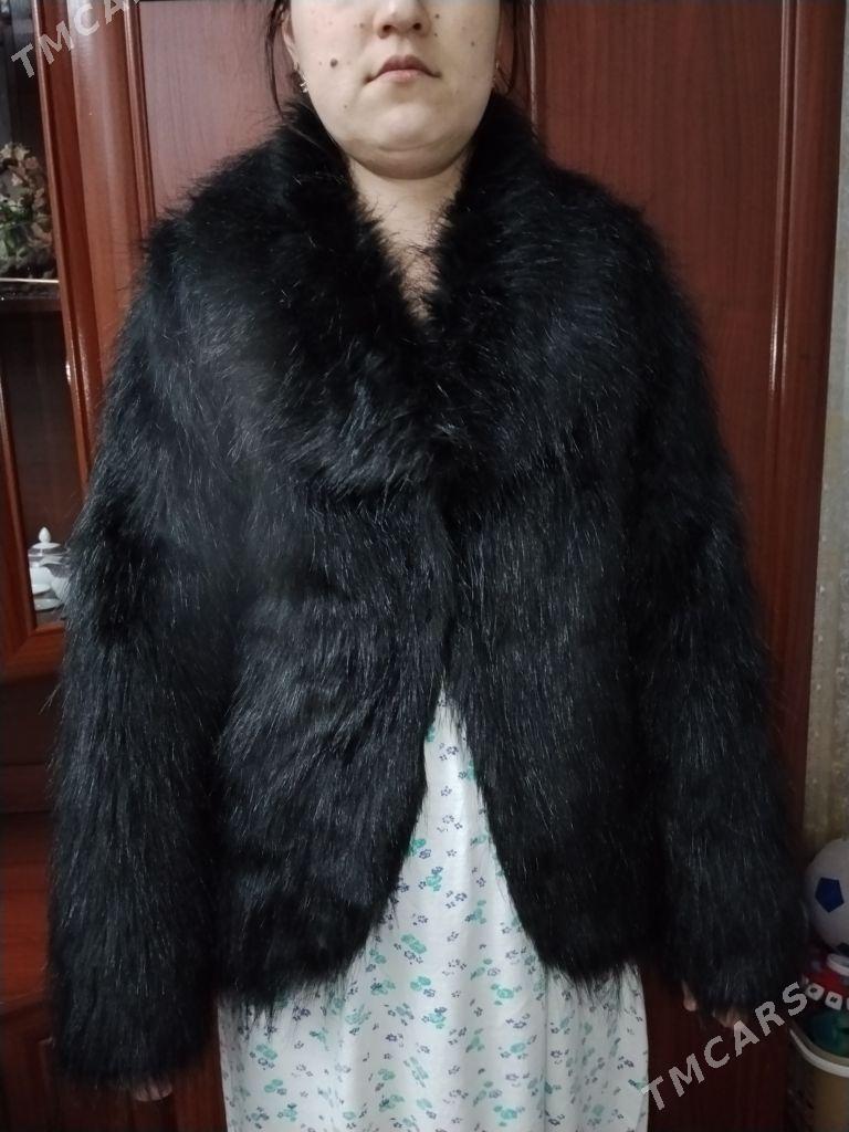 Шиншилла шубкк - Туркменабат - img 7