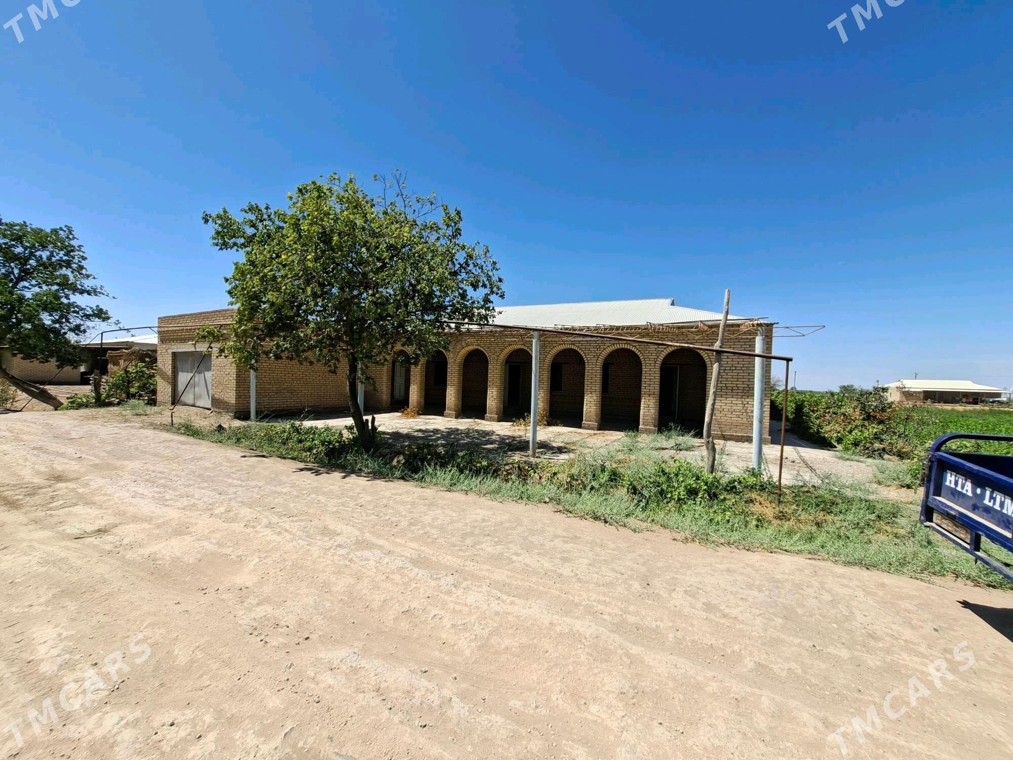 jay - Hojambaz - img 9