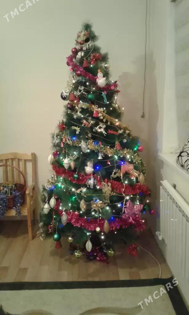 елка - Aşgabat - img 3