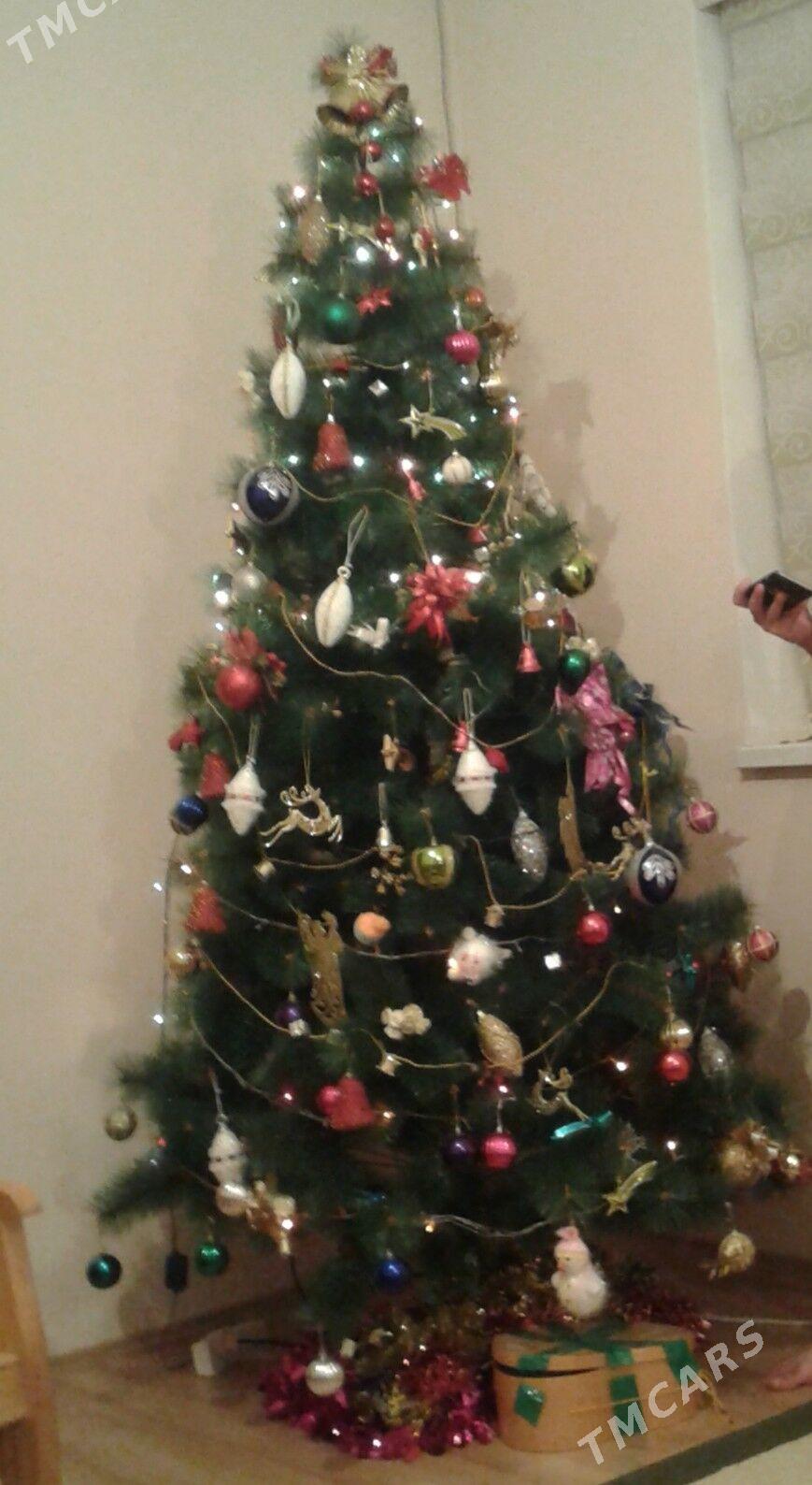 елка - Aşgabat - img 2