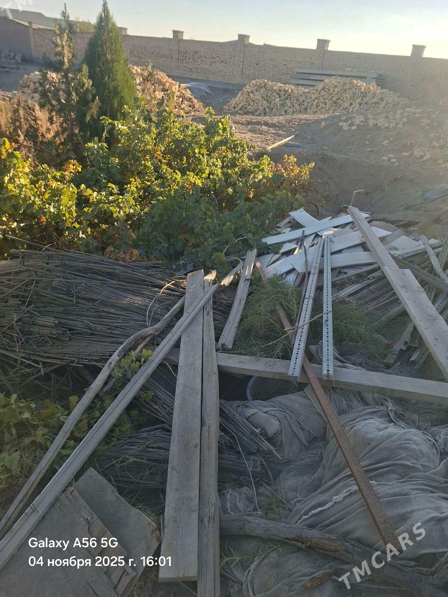 tagtalar - Daşoguz - img 2