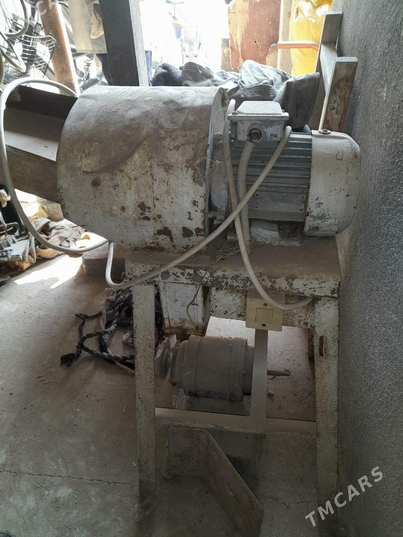 OT UWEYAN MASYN - Çoganly - img 3