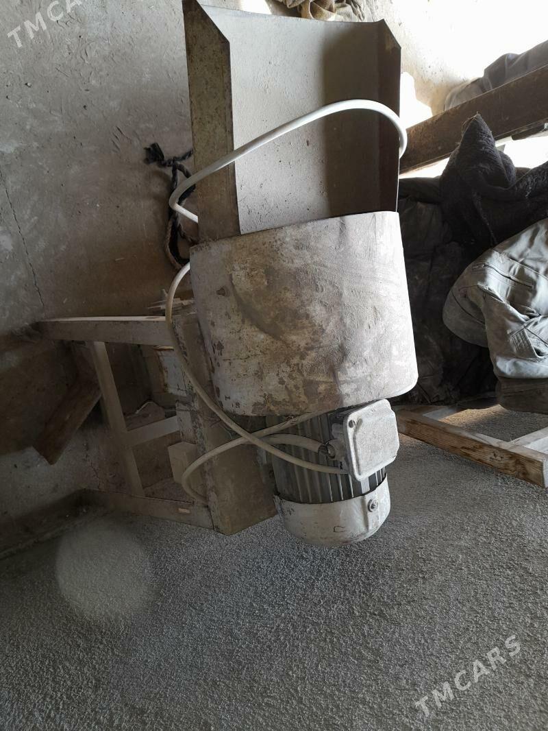 OT UWEYAN MASYN - Çoganly - img 4