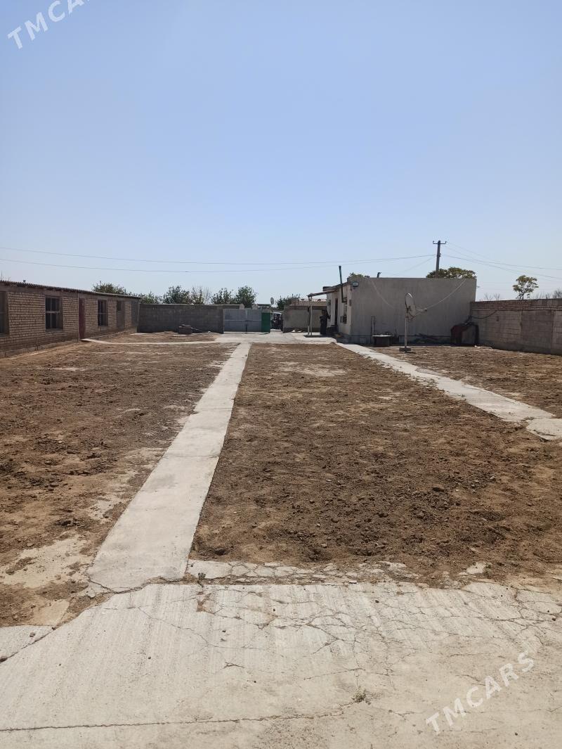 Arenda howly - Kaka - img 5