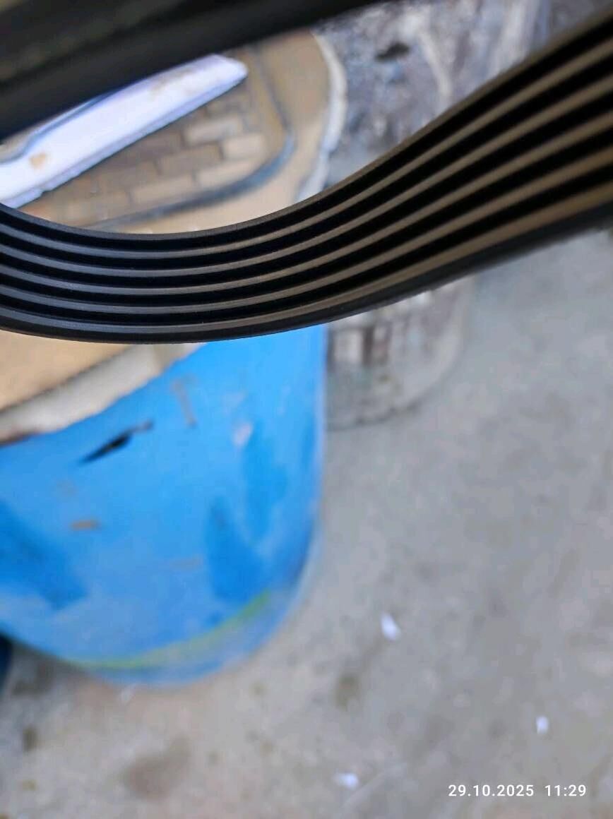 remen ремень 100 TMT - Türkmenbaşy - img 2