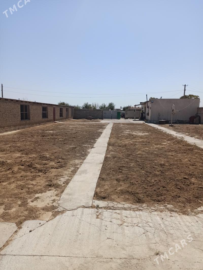 Arenda howly - Kaka - img 6