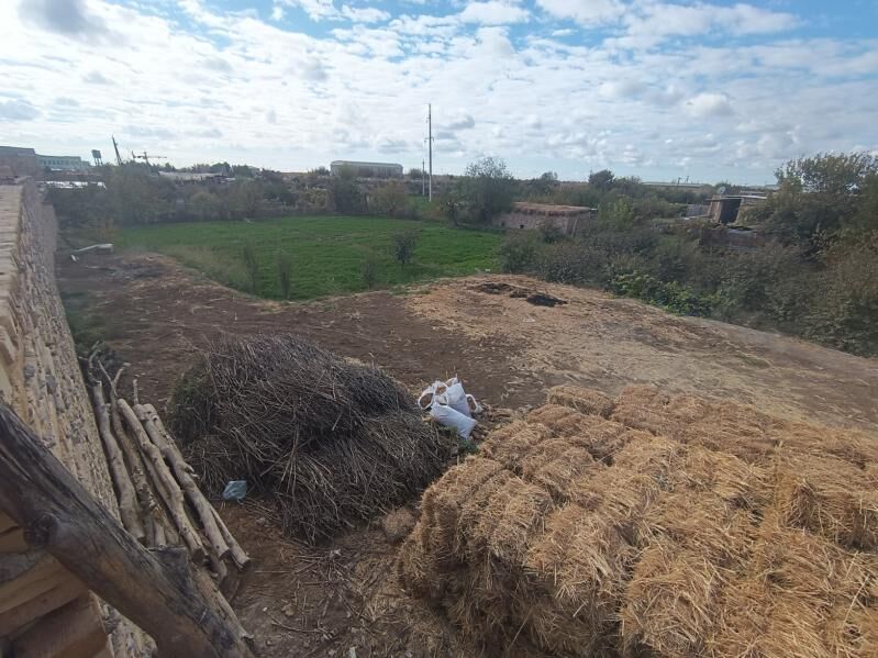 Satlyk mellek yer Sawhoz - Чарджоу - img 4