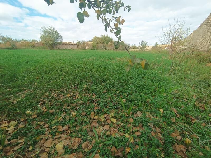 Satlyk mellek yer Sawhoz - Чарджоу - img 6