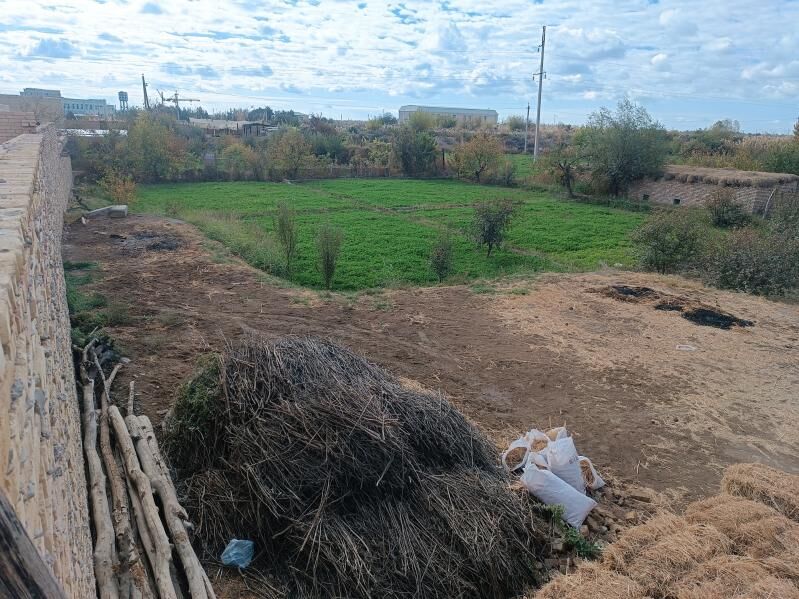 Satlyk mellek yer Sawhoz - Чарджоу - img 8