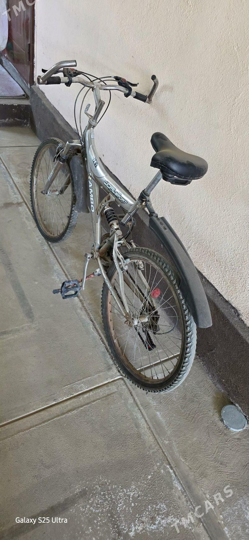 tıgır - Багир - img 1