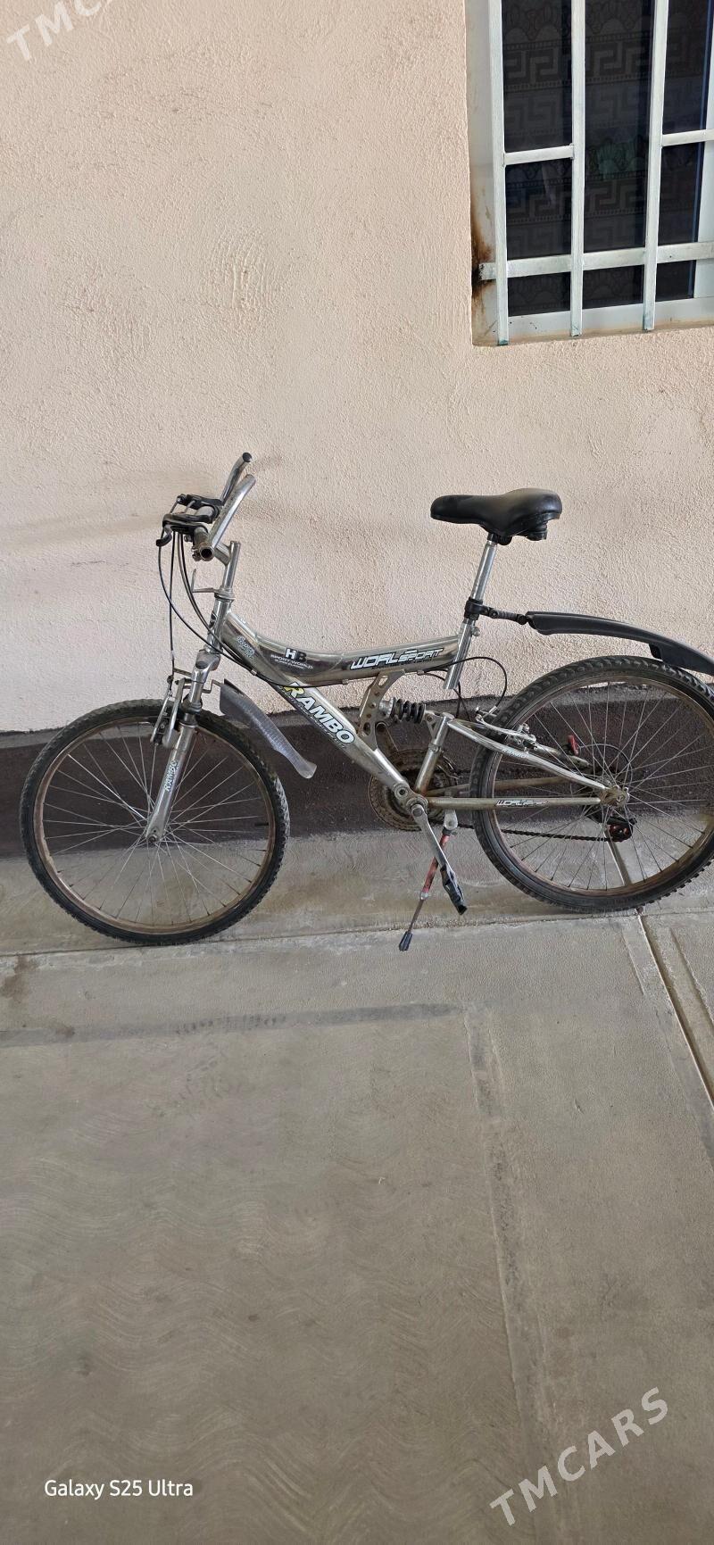 tıgır - Bagyr - img 3