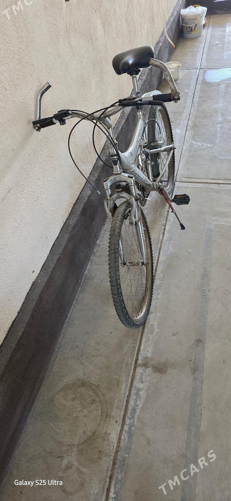 tıgır - Bagyr - img 2