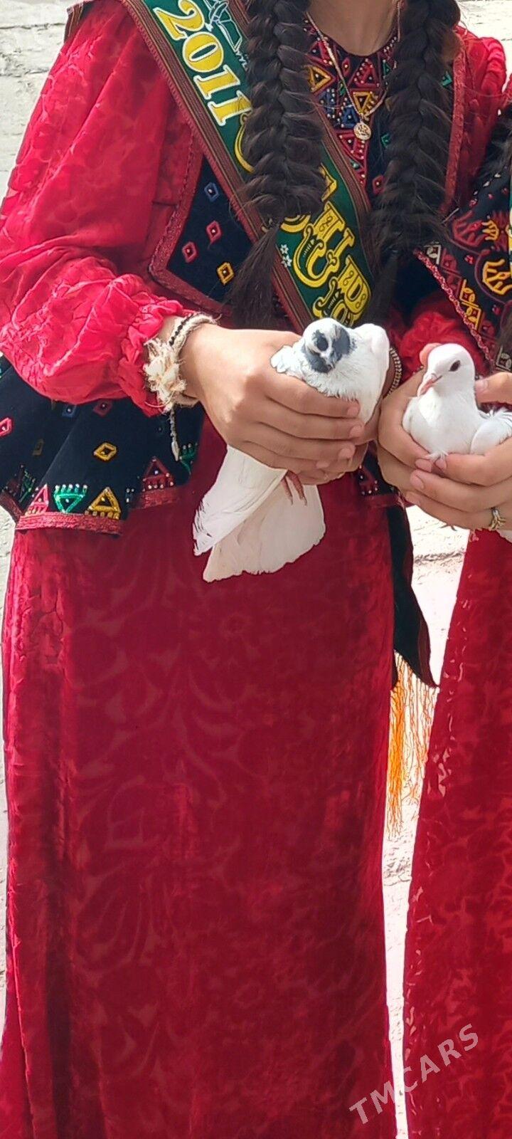 koynek - Балканабат - img 3