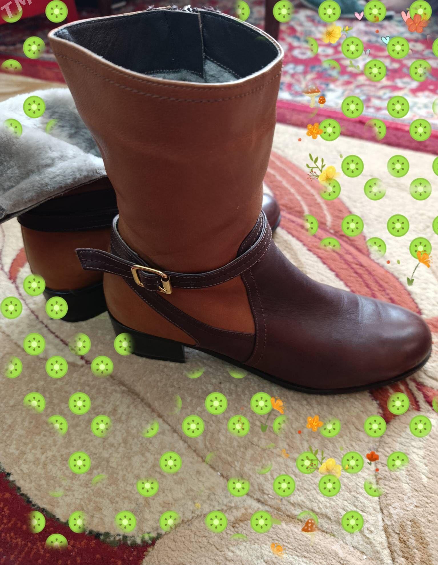 Сапоги - Mary - img 1