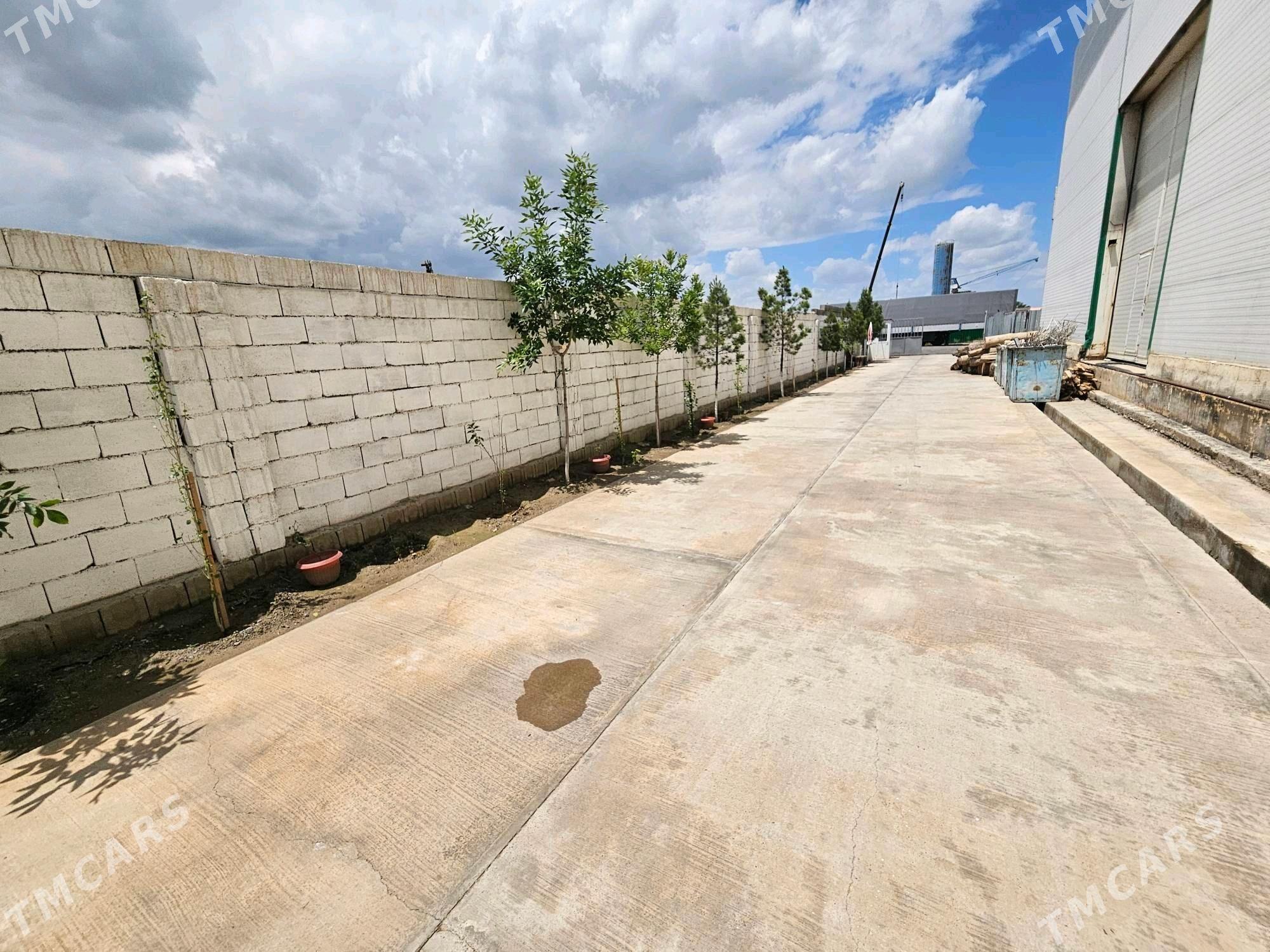 Seh Zawot Önümçilik - Büzmeýin - img 2