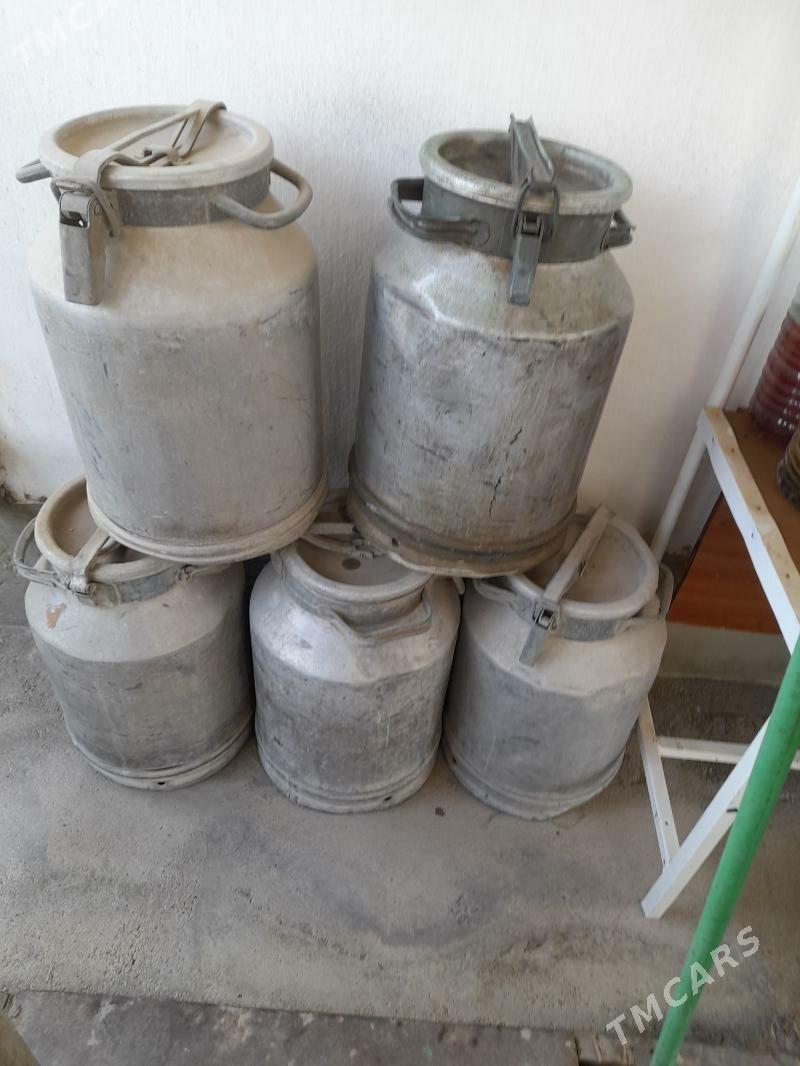 FLAGA SUW UJIN - Чоганлы - img 4