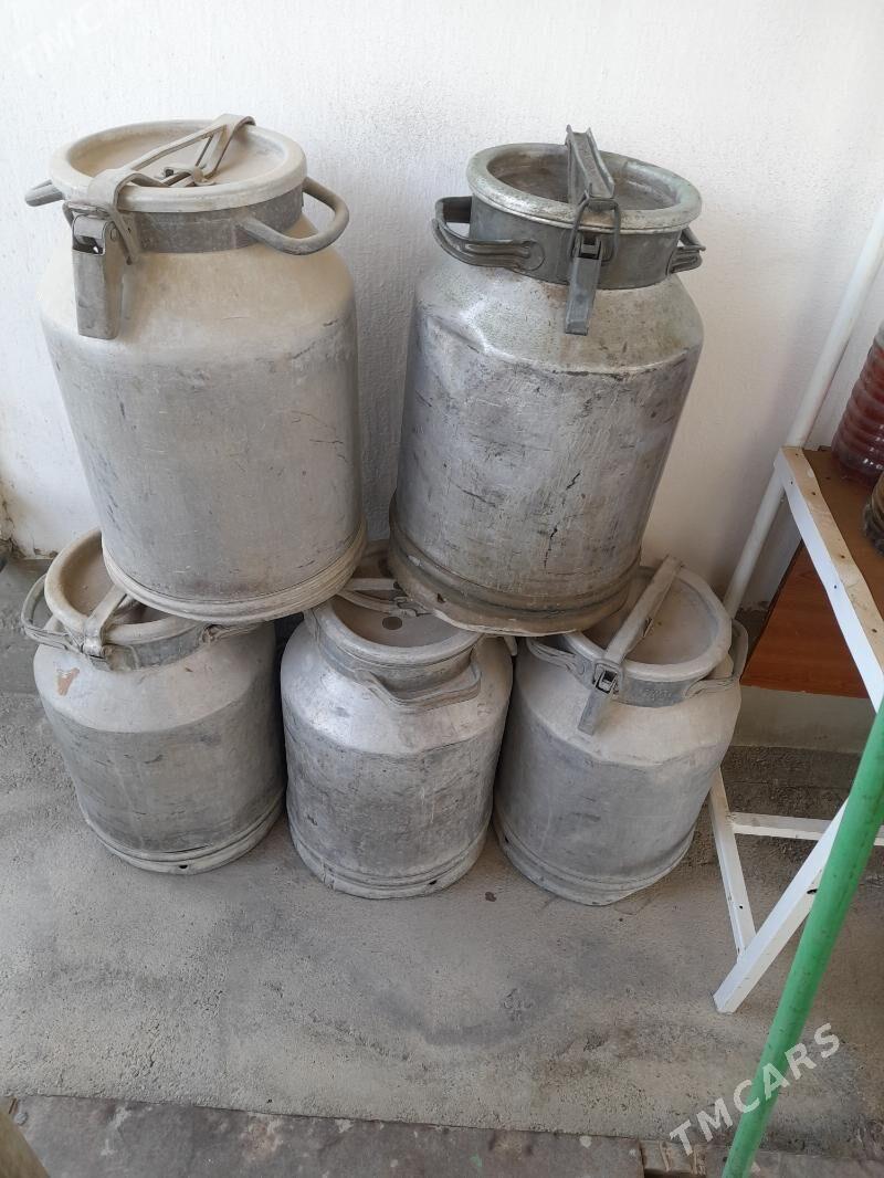 FLAGA SUW UJIN - Чоганлы - img 1