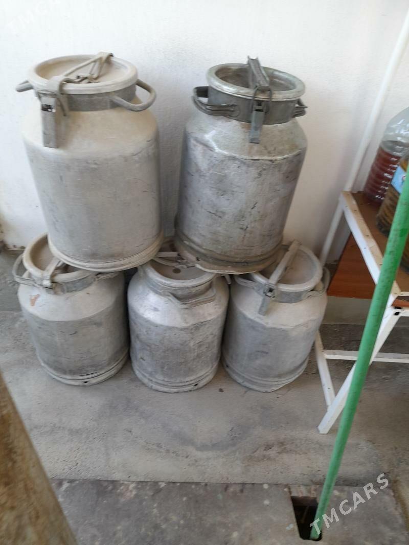 FLAGA SUW UJIN - Чоганлы - img 2