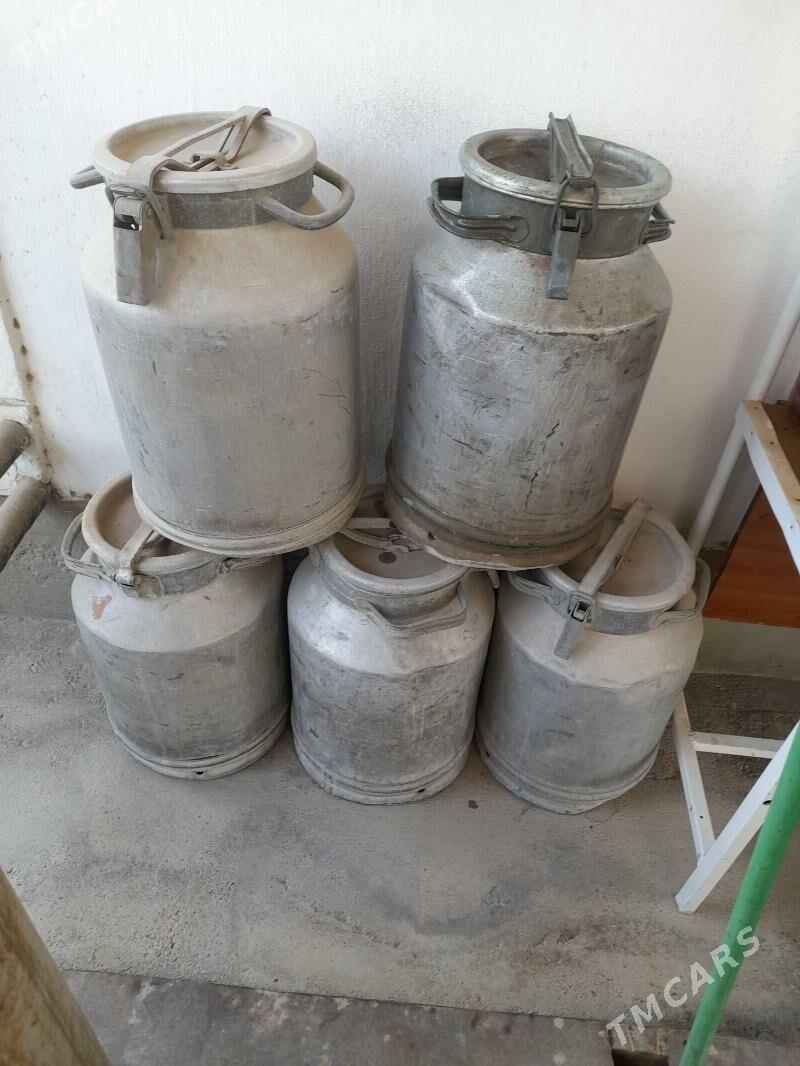 FLAGA SUW UJIN - Чоганлы - img 3