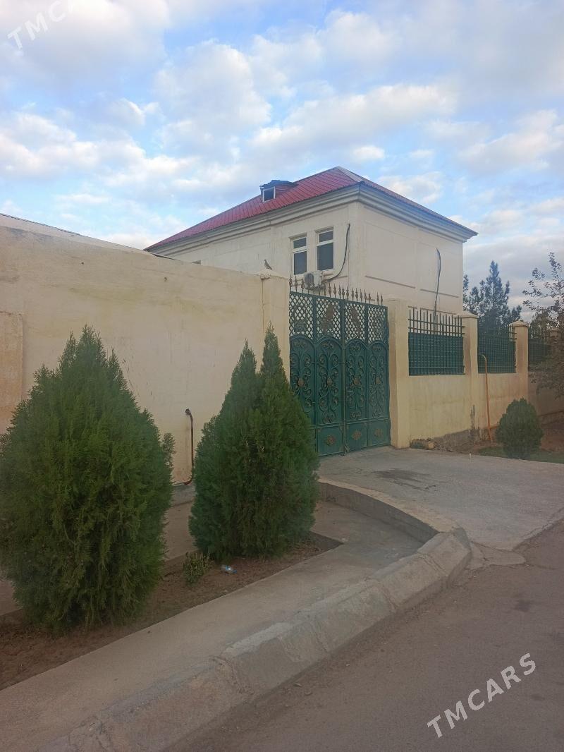 çoganly katez - Чоганлы - img 3