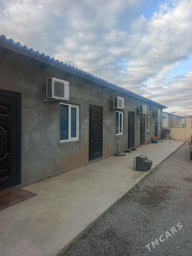 çoganly katez - Чоганлы - img 2