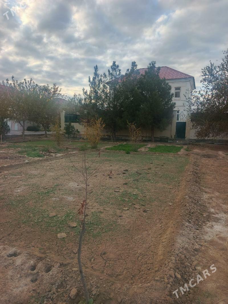 çoganly katez - Чоганлы - img 5