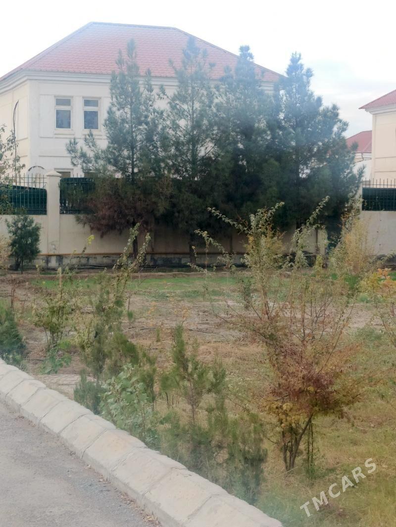 çoganly katez - Чоганлы - img 4