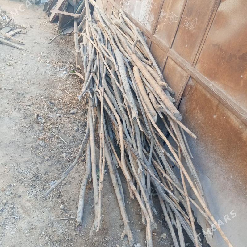 agac hada - Daşoguz - img 1