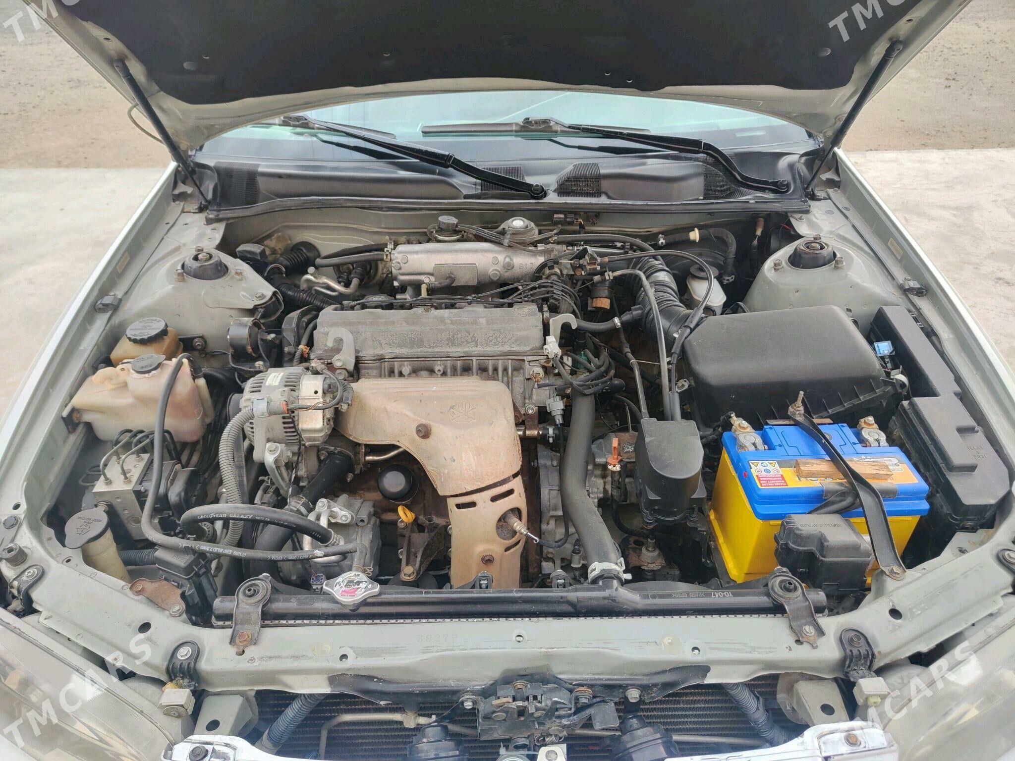 Toyota Camry 2000 - 150 000 TMT - Sakarçäge - img 4