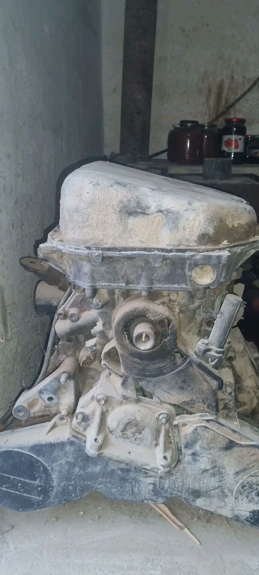 3 lik mator 6 000 TMT - Ашхабад - img 2