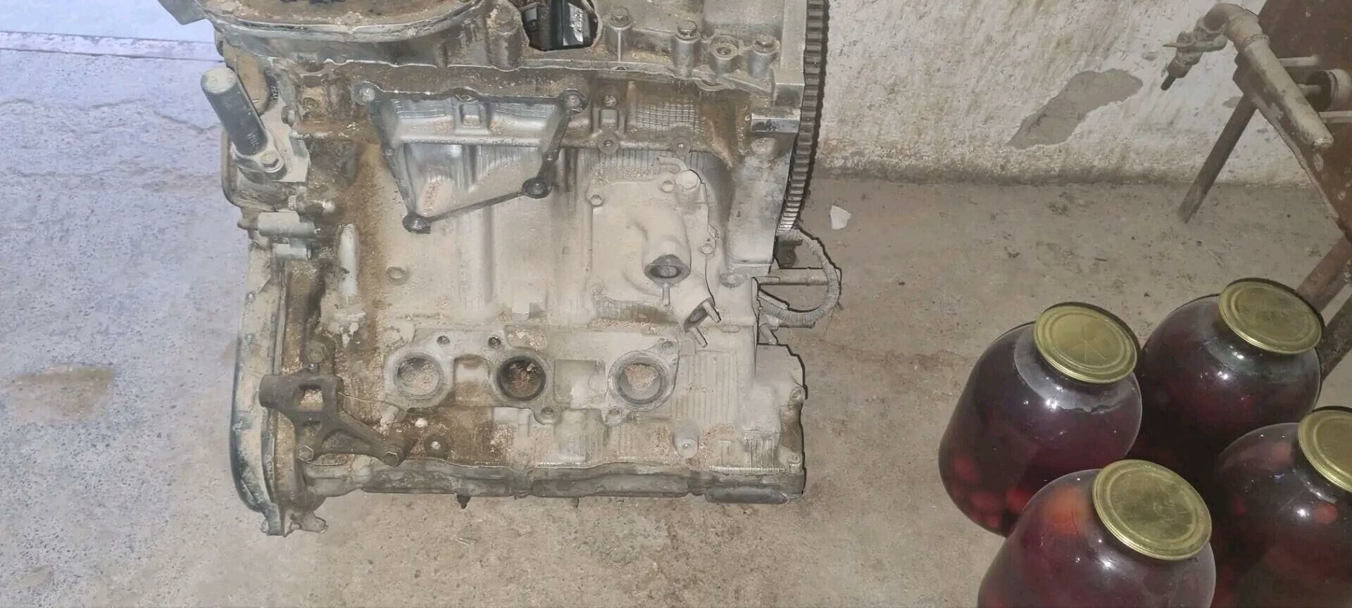 3 lik mator 6 000 TMT - Ашхабад - img 4