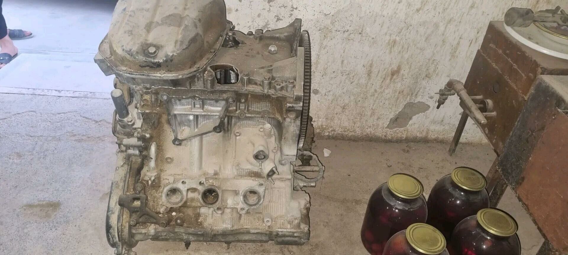 3 lik mator 6 000 TMT - Ашхабад - img 3