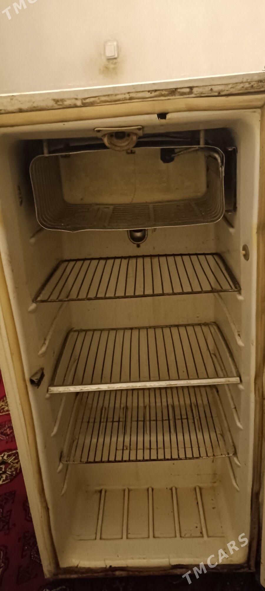 Hlodilnik - Гаудан "Б" - img 4